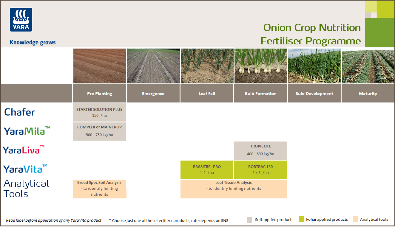 Onion fertiliser programme
