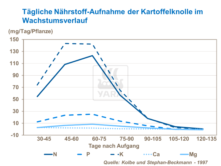 dünger ackerschachtelhalm Neudorff Schachtelhalm Extrakt – Natürlicher Dünger mit Kieselsäure –  Neudorff Shop