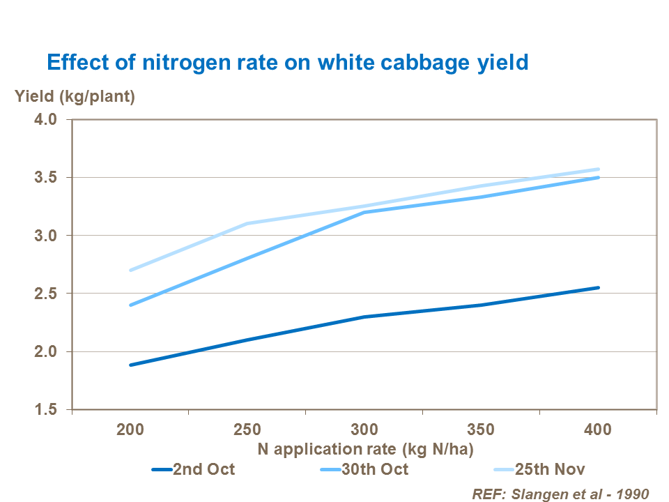 Effect of nitrogen rate on white cabbage yield