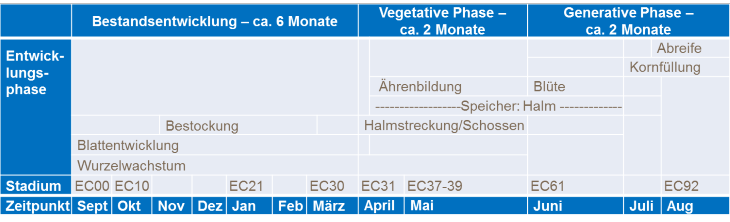 milch als dünger für orchideen Orchideen Dünger von Flora Boost für gesunde und blühende Pflanzen main image 0