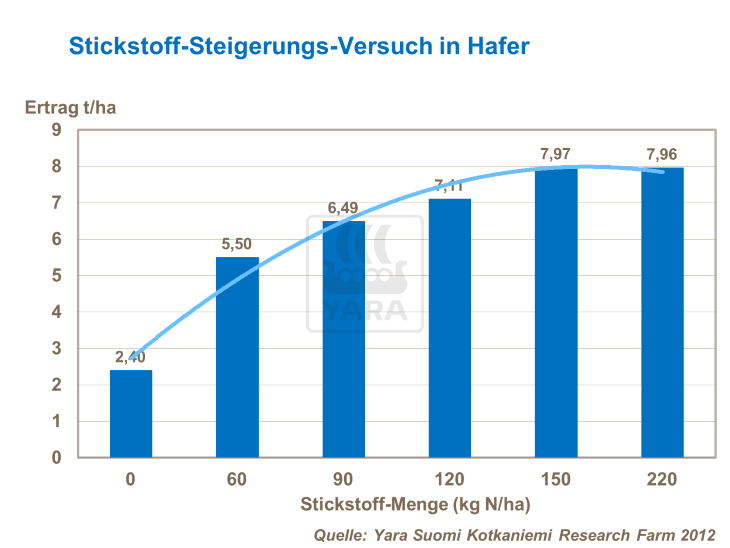 Wie Sie die Blatt- und Triebzahl bei Hafer steigern | Yara Deutschland