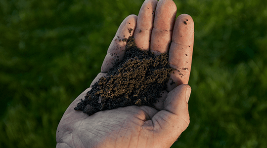 Reduce your farm’s impact on climate change 