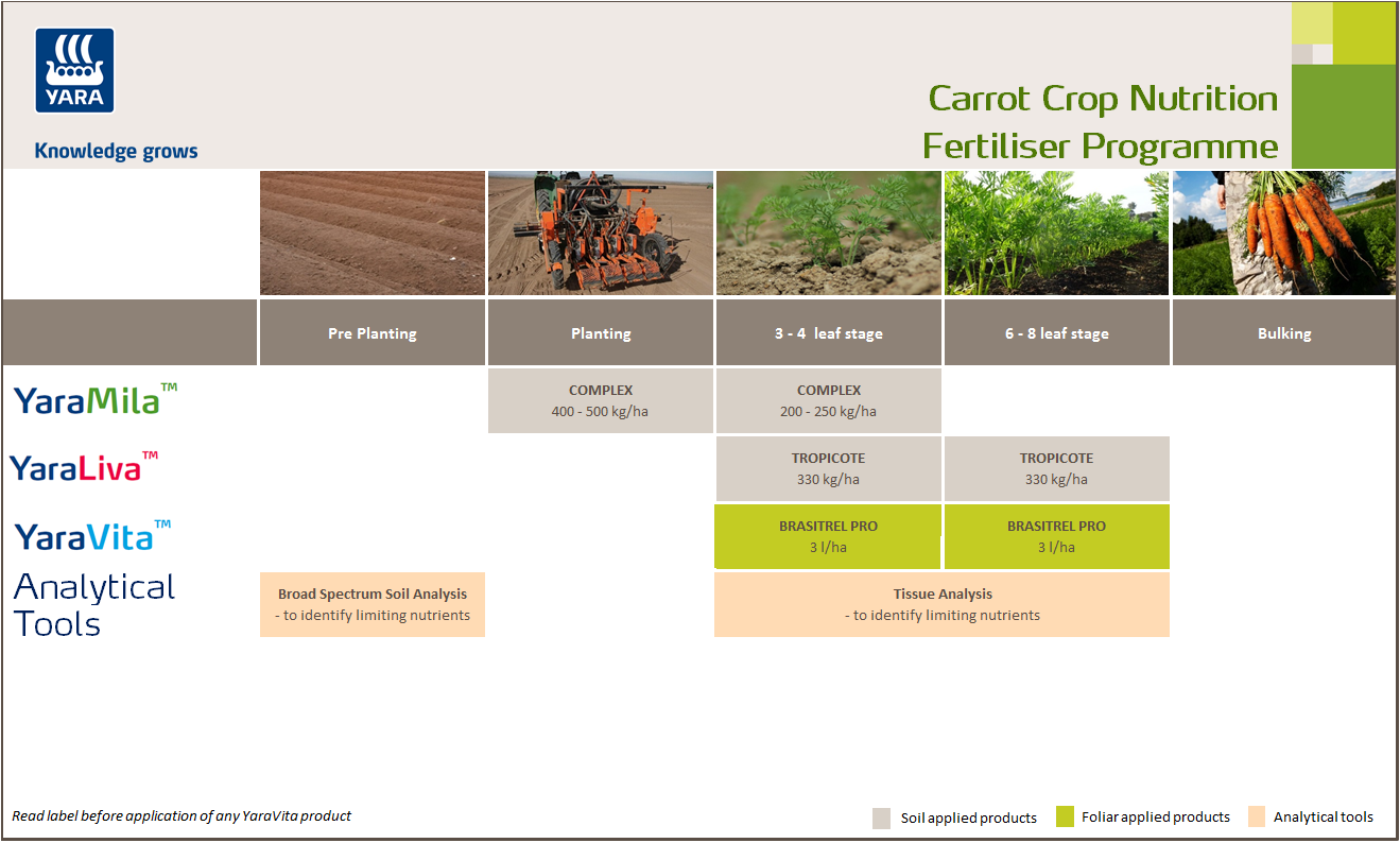 Carrot fertiliser programme