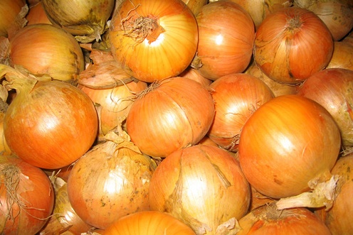 Common onions