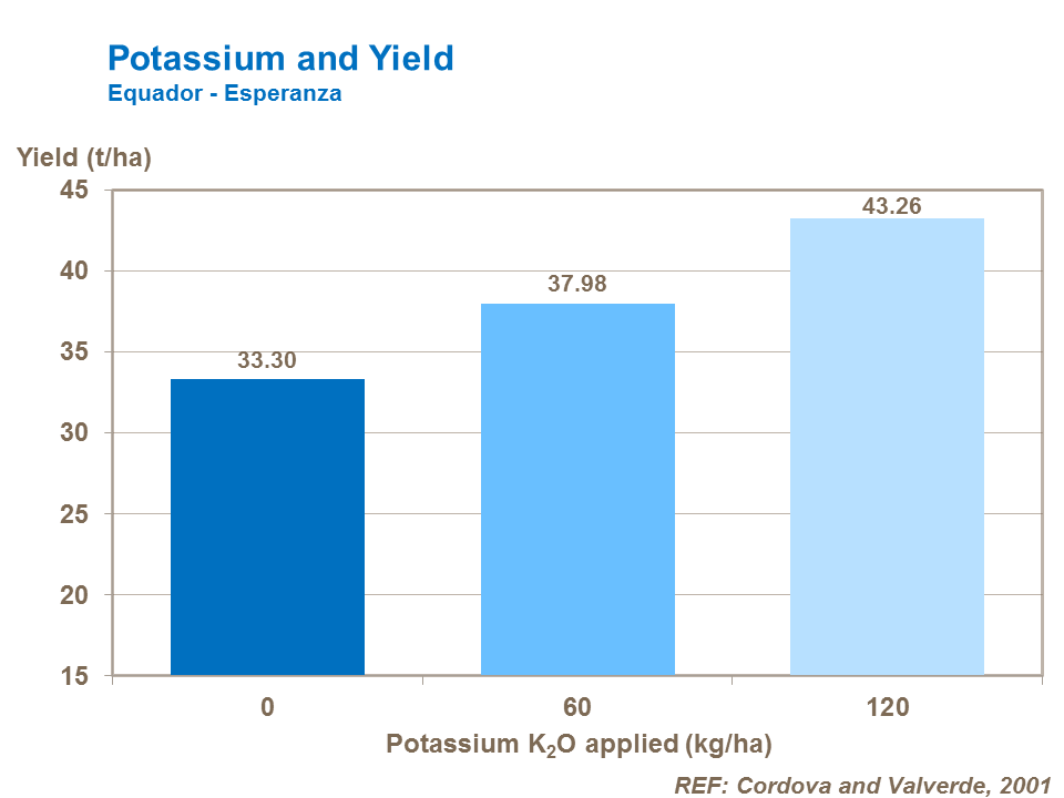 Potassium and potato yield