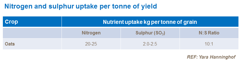 Nitrogen and sulphur uptake in oats