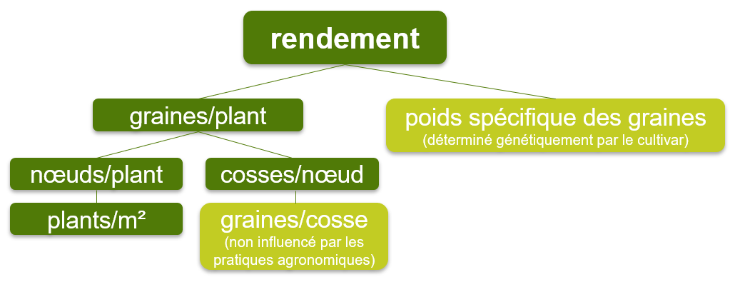diagram - increasing soybean yield FRENCH.png
