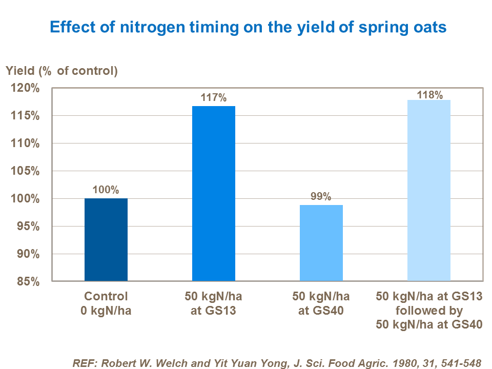Effect of nitrogen timing on the yield of spring oats