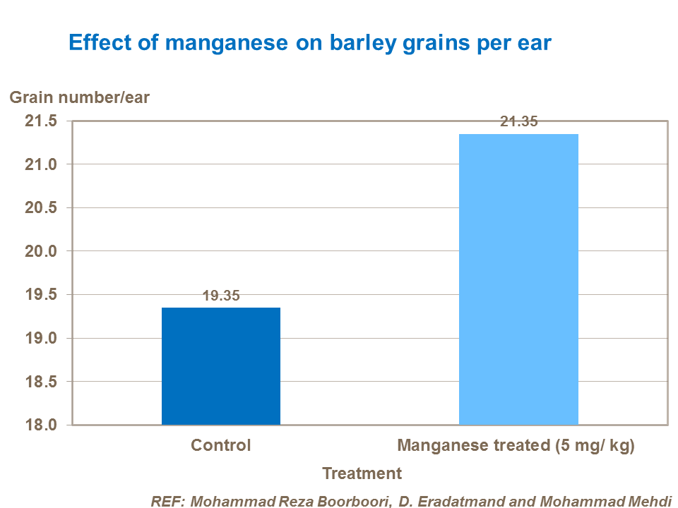 Effect of manganese on barley grains per ear