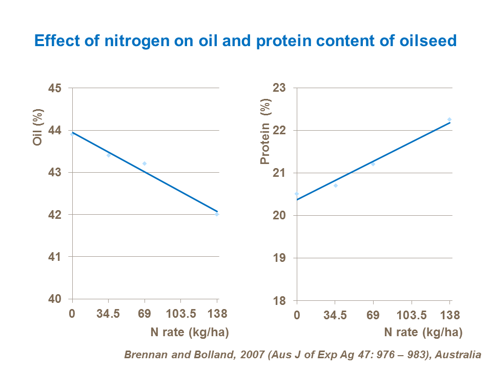 Effect of nitrogen on oil and protein content of oilseed