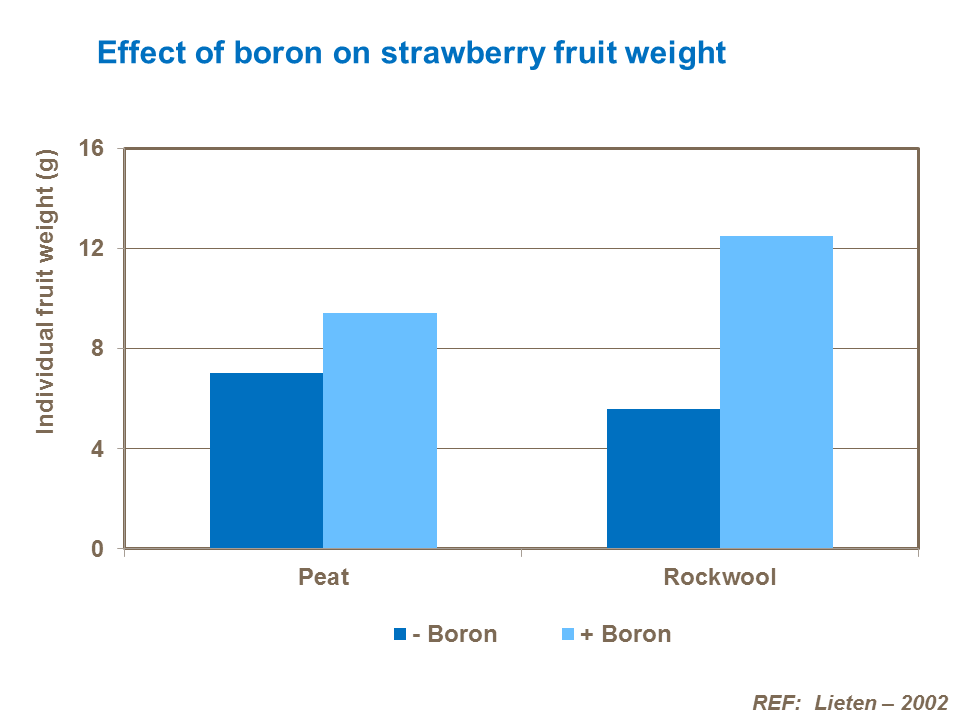 Effect of boron on strawberry fruit weight
