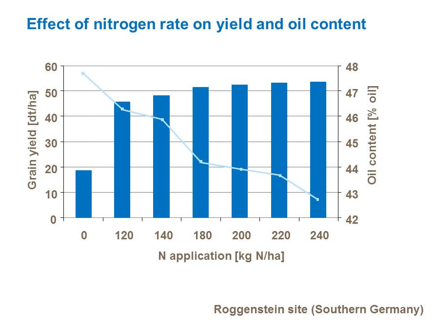 Effect of nitrogen rate on yield and oil content