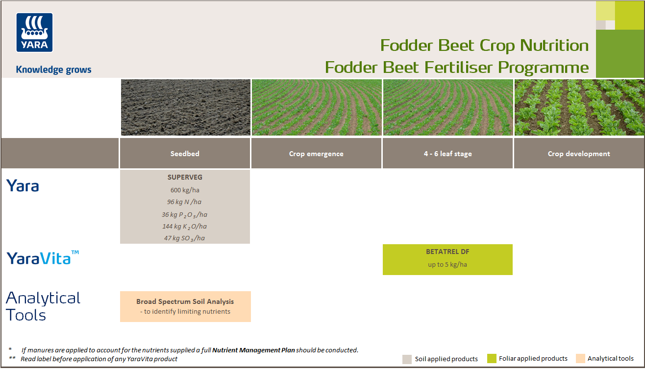 Fodder beet fertiliser programme