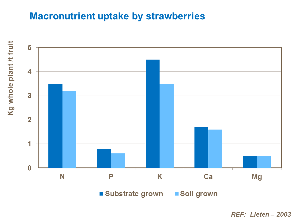 Macronutrient uptake by strawberries