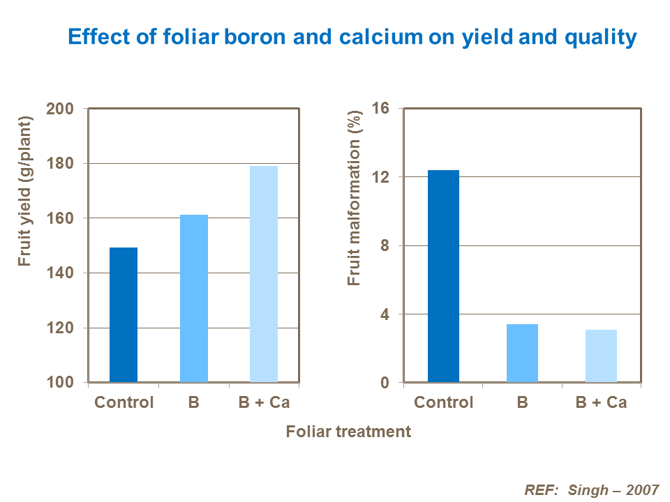 Effect of foliar boron and calcium on yield and quality