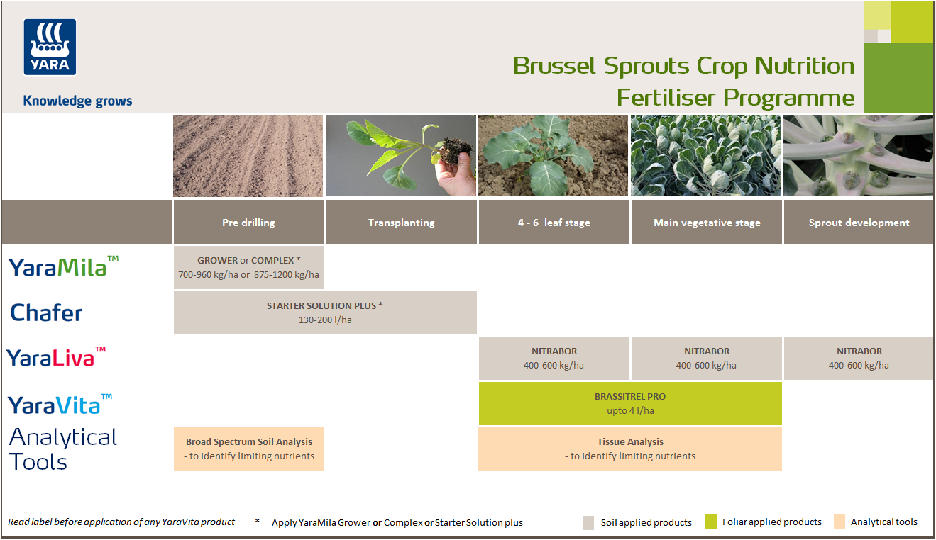Brussel sprouts fertiliser programme