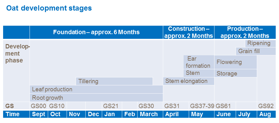 Oat development phases