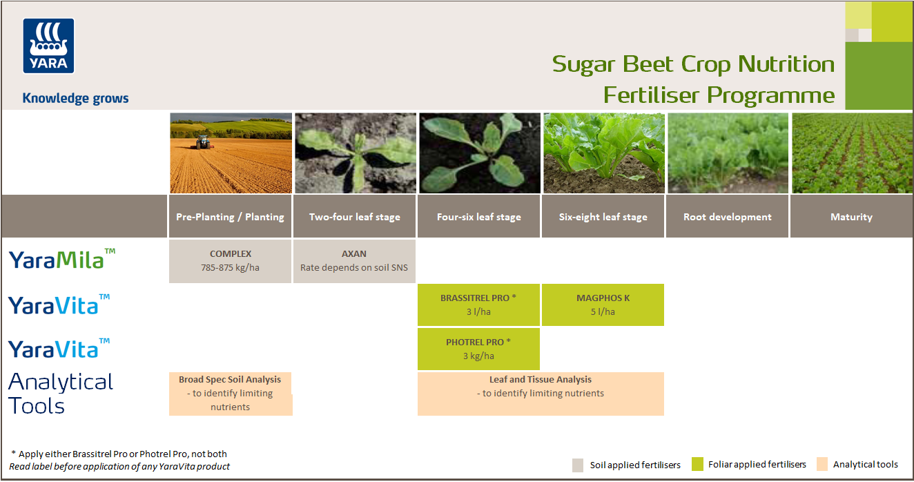 Sugar beet fertiliser programme