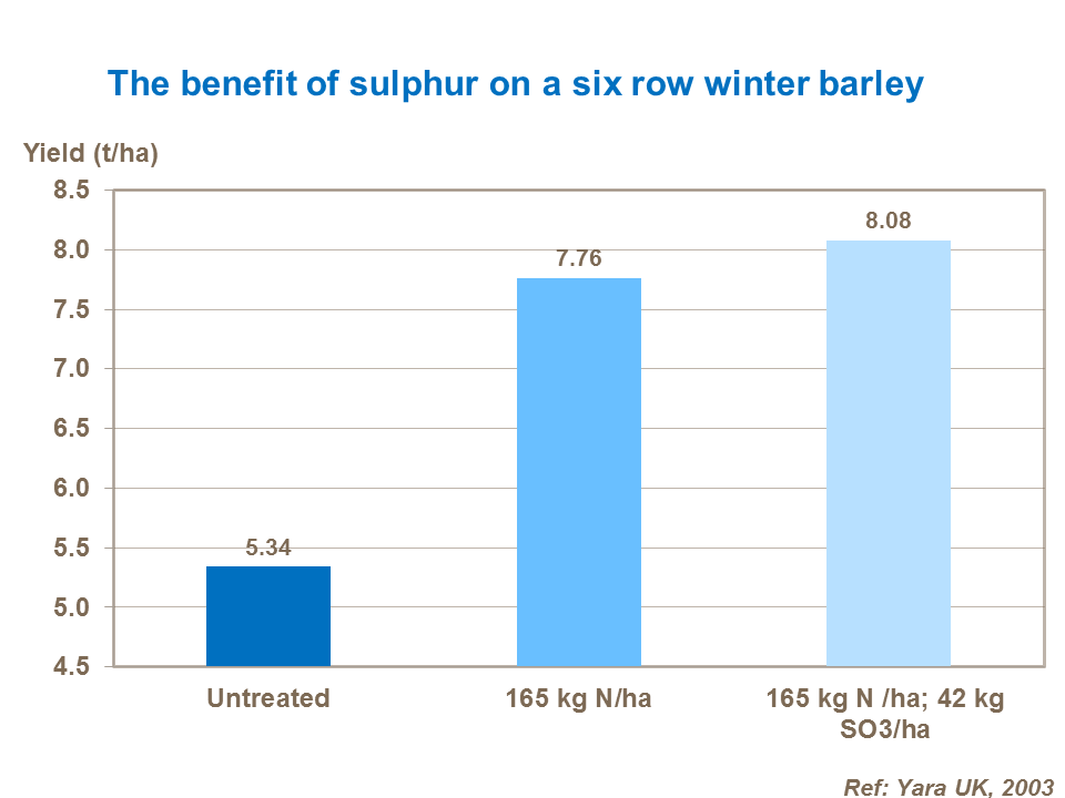 The benefit of sulphur on a six row winter barley